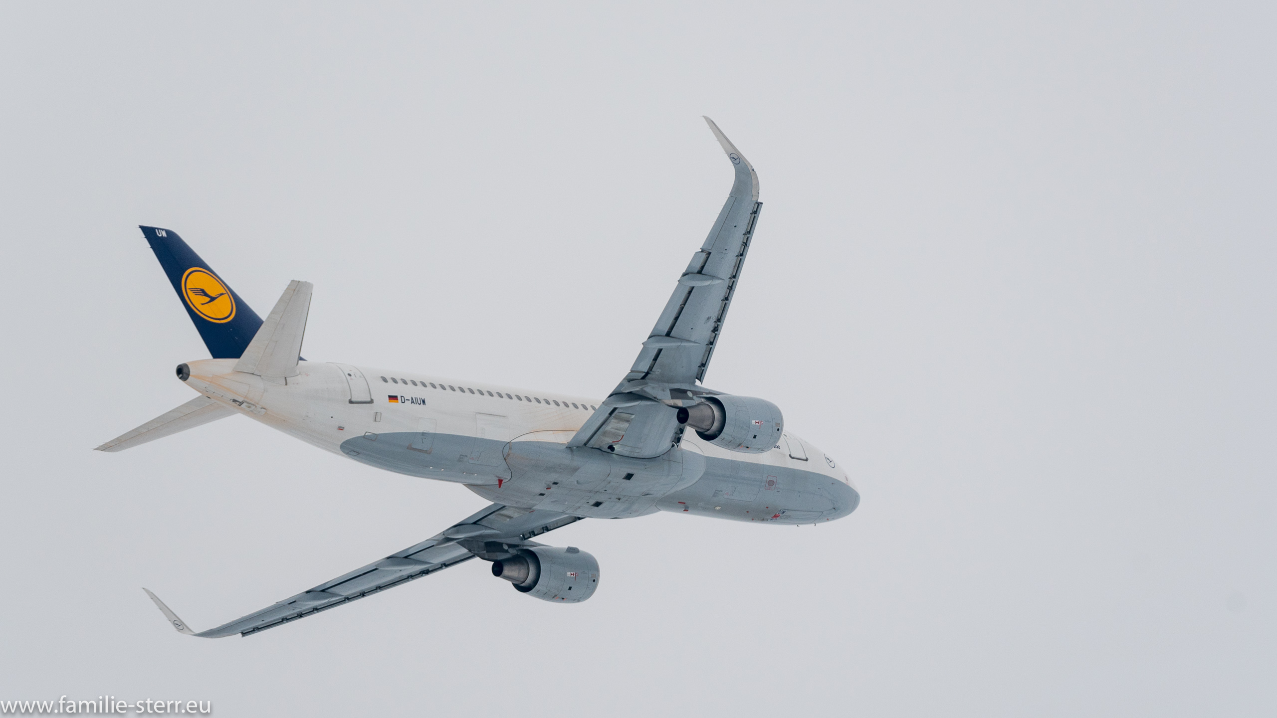 D-AIUM